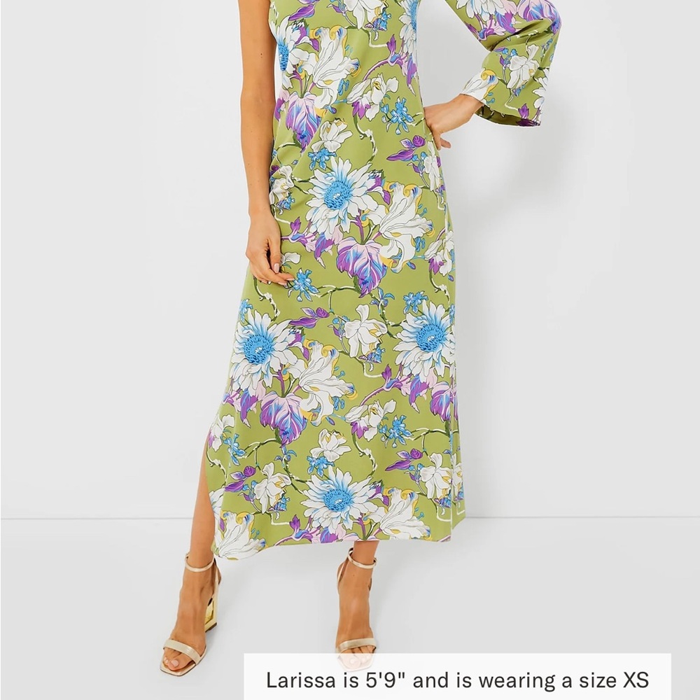Tuckernuck Green Floral One-Shoulder Maxi Dress - Picture 4 of 15